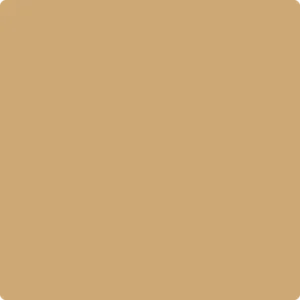 1103 Camel Back
