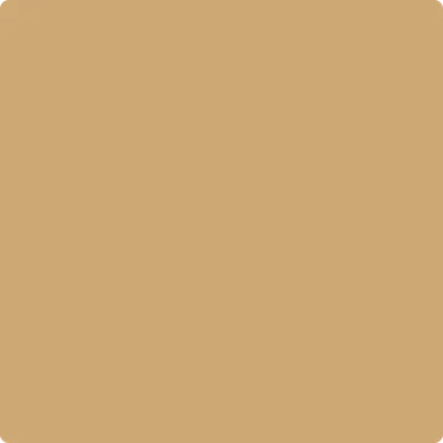 1103 Camel Back