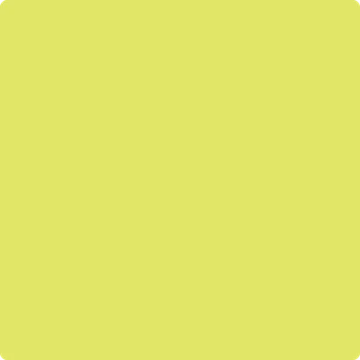 2025-40 Limelight