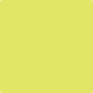 2025-40 Limelight