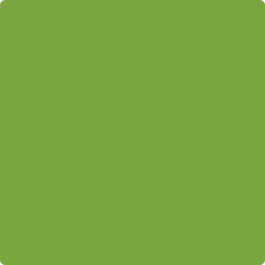 2028-10 Iguana Green