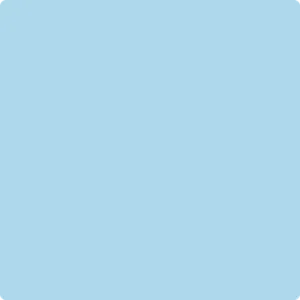 2061-60 Little Boy Blue