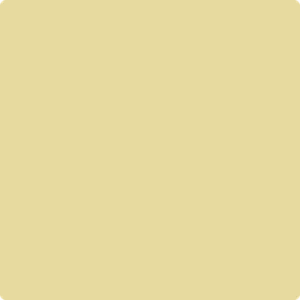 375 Yellow Clover