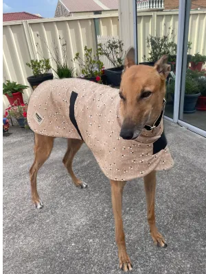 Bee happy in beige Autumn range classic style Greyhound coat in cotton & fleece washable