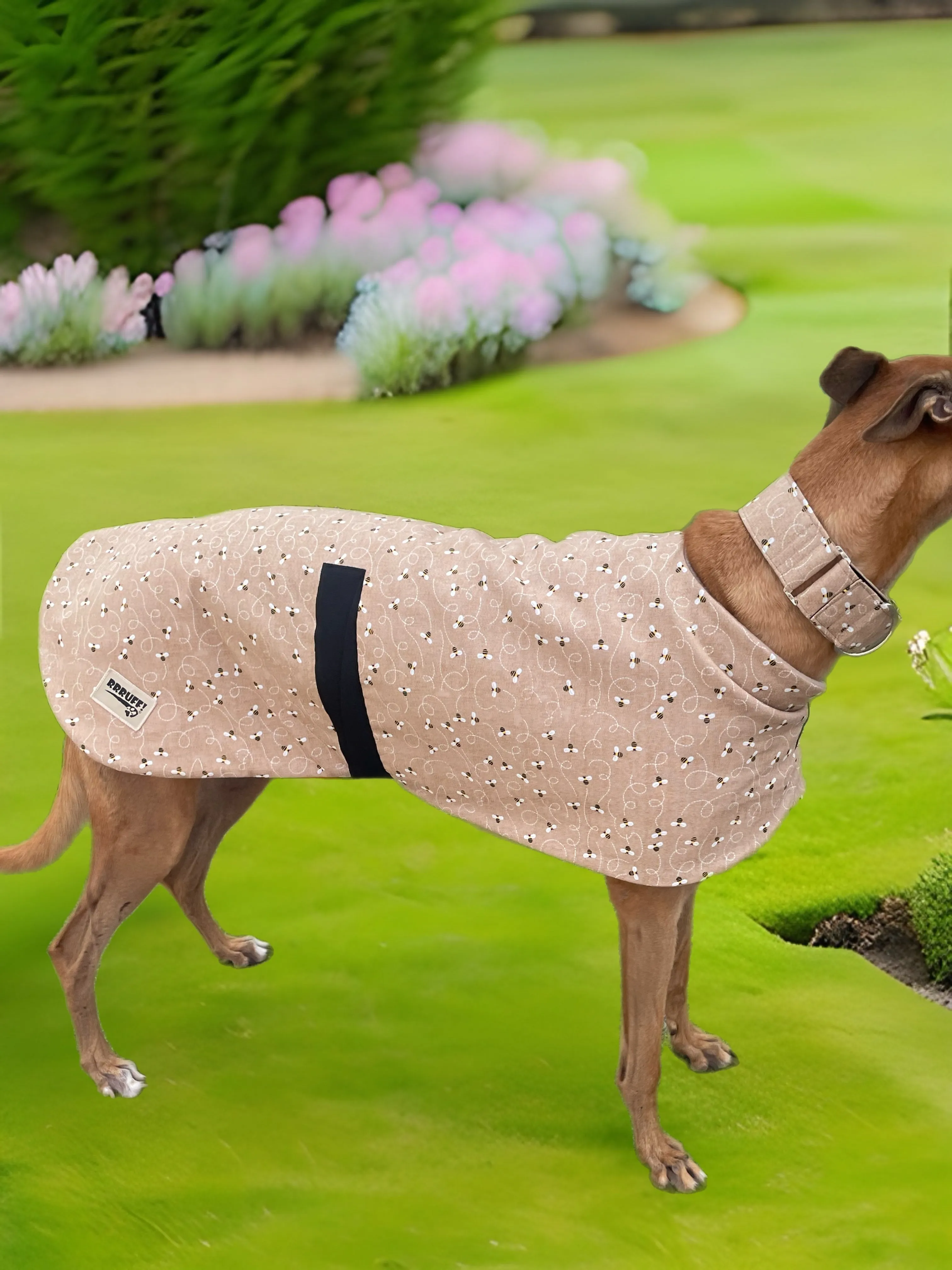 Bee happy in beige Autumn range classic style Greyhound coat in cotton & fleece washable