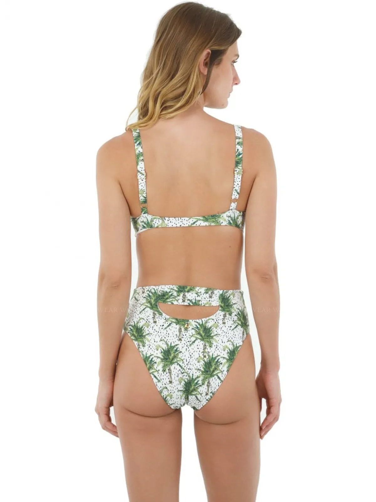 Kentia Palm Crown-Kentia Palm Moon Bay Bikini
