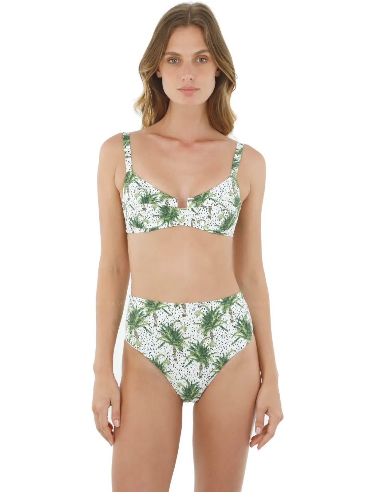 Kentia Palm Crown-Kentia Palm Moon Bay Bikini