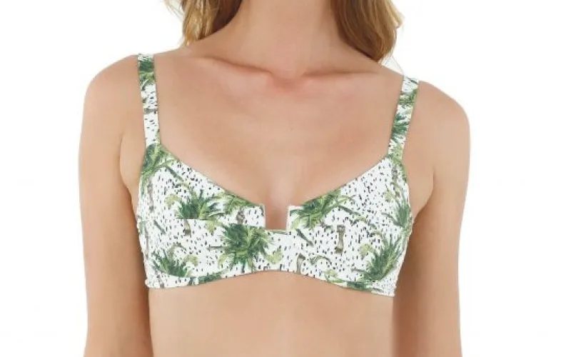 Kentia Palm Crown-Kentia Palm Moon Bay Bikini