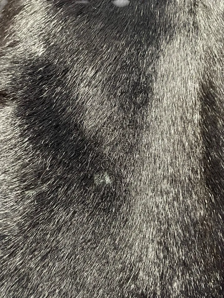 Prada Goat Fur Bomber Jacket Women's XS