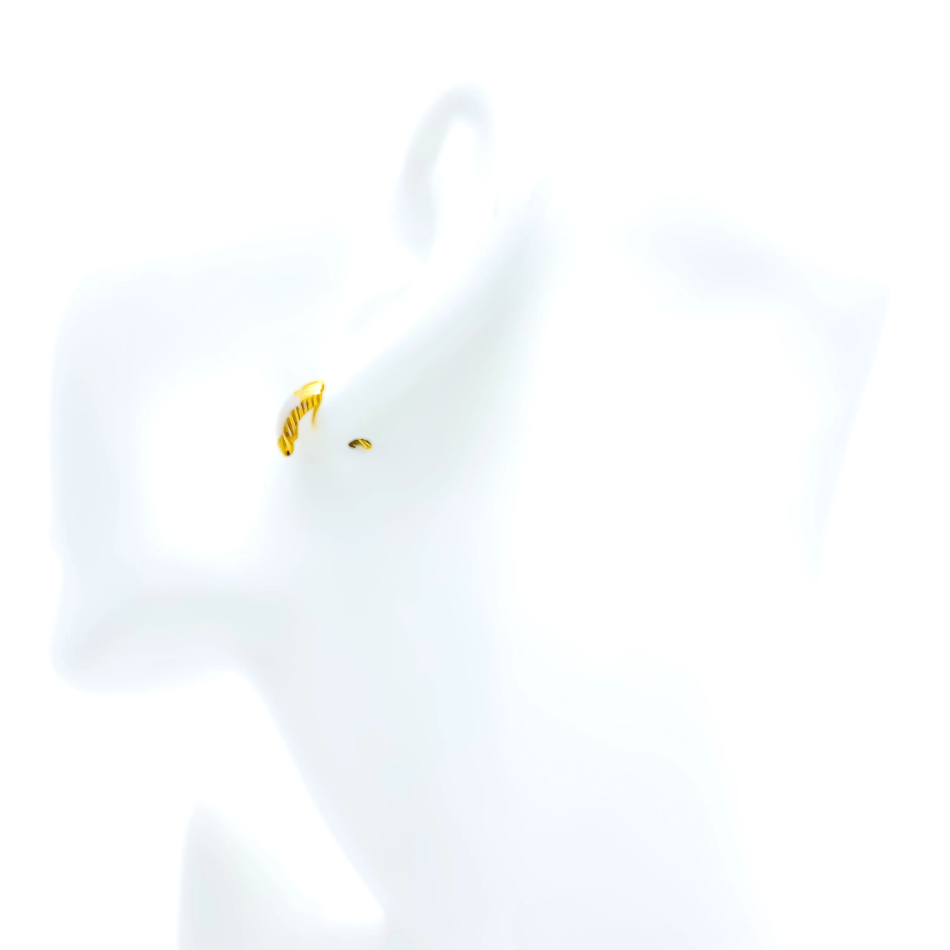Sparkling Dazzling 22k Gold Tops