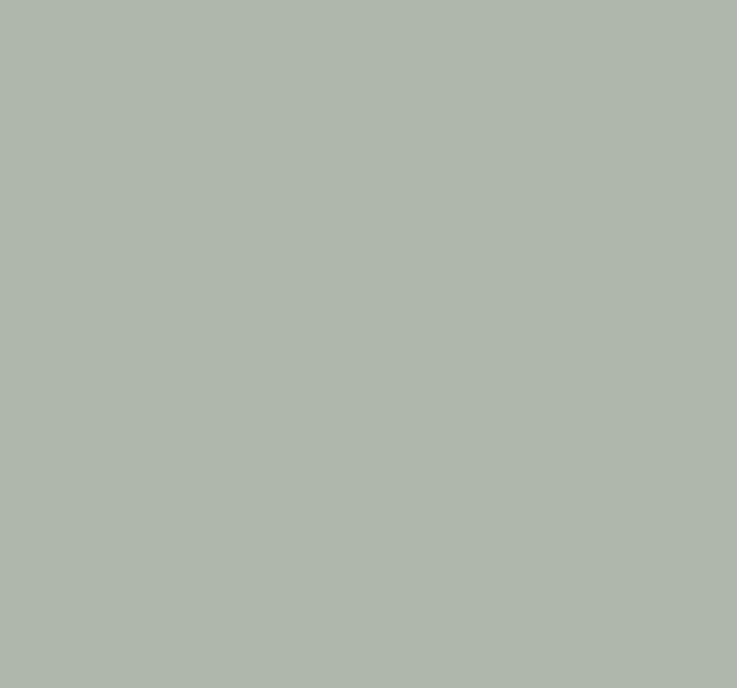 Taubmans Platinum Grey