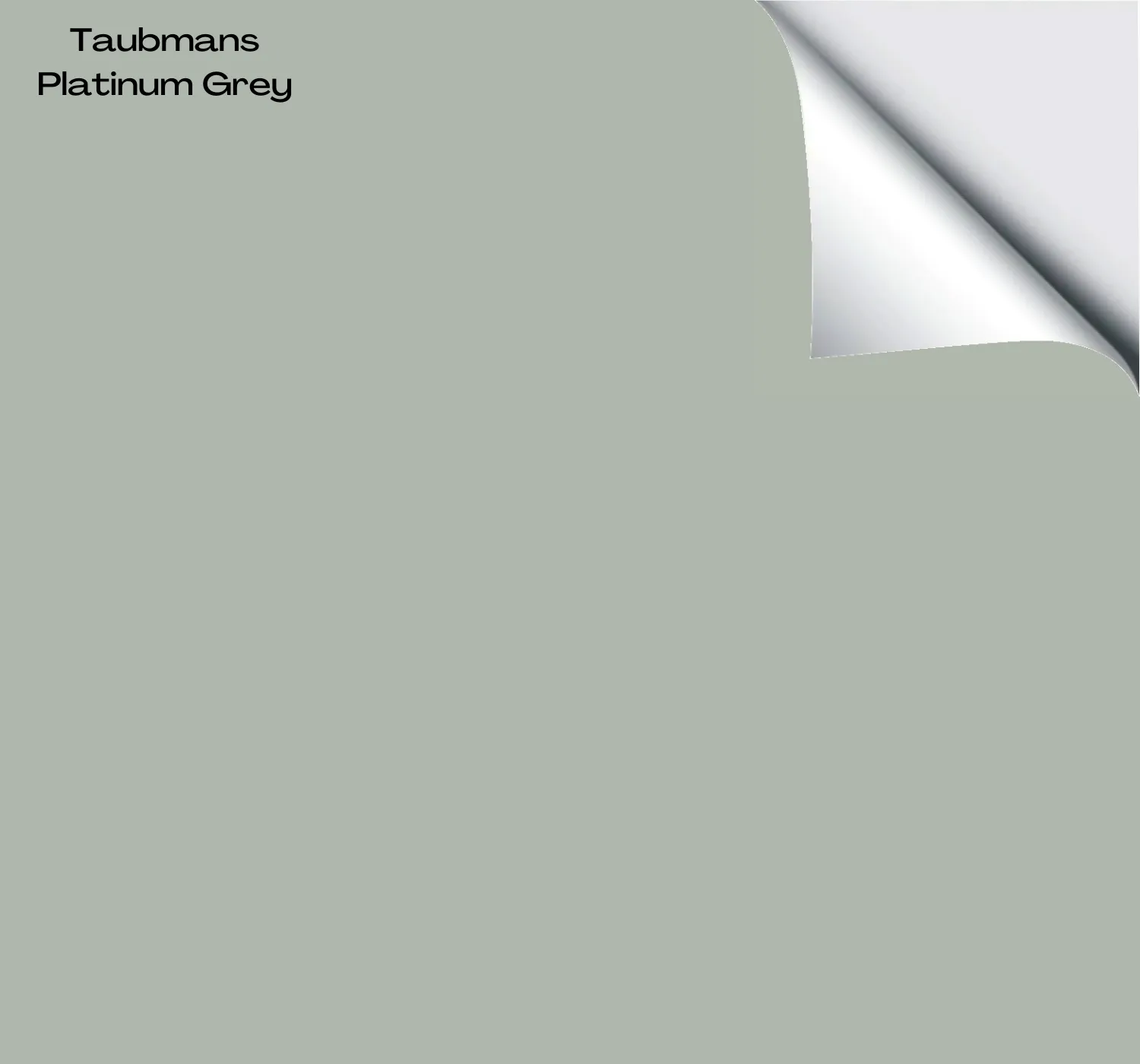 Taubmans Platinum Grey